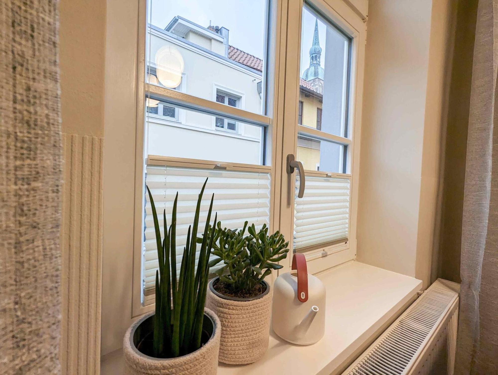 Strelapartment By Meinke Mitten In Der Altstadt 슈트랄준트 객실 사진